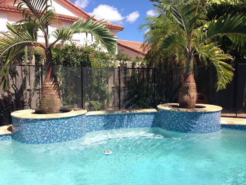 Rectangular pool with matching raised spas at each end overlooking a canal