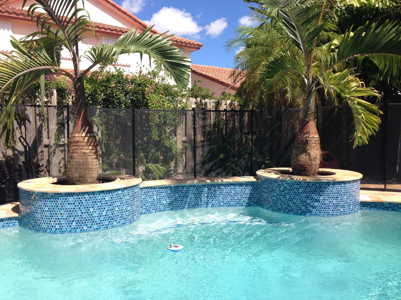Tropical landscaping surrounding a contemporary freeform pool